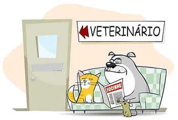 Táxi Vet (Visitas ao Veterinário)