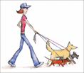 Dog walking (Passeio)